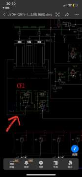IMG_1447.jpeg