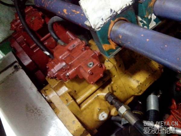 IMG_20130218_115649.jpg