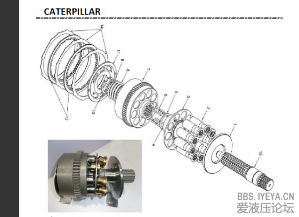 cat2.png