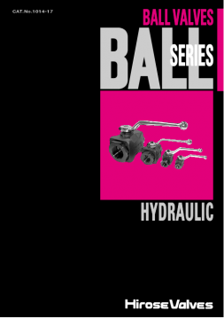 日本广濑HIROSE阀样本